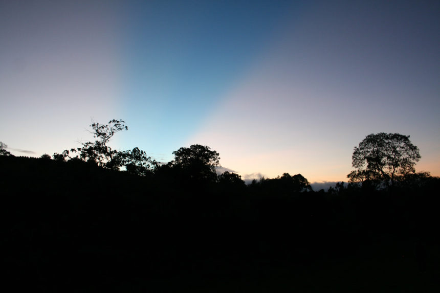 Kongsnes-2011-37-860x573